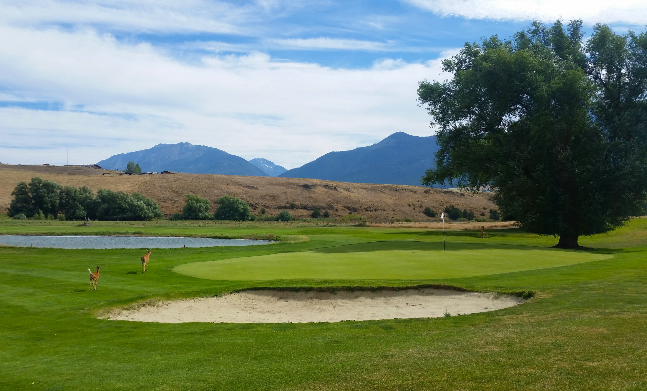 Alpine Meadows Golf Course Wallowa County Alpine Meadows Golf Course Wallowa County